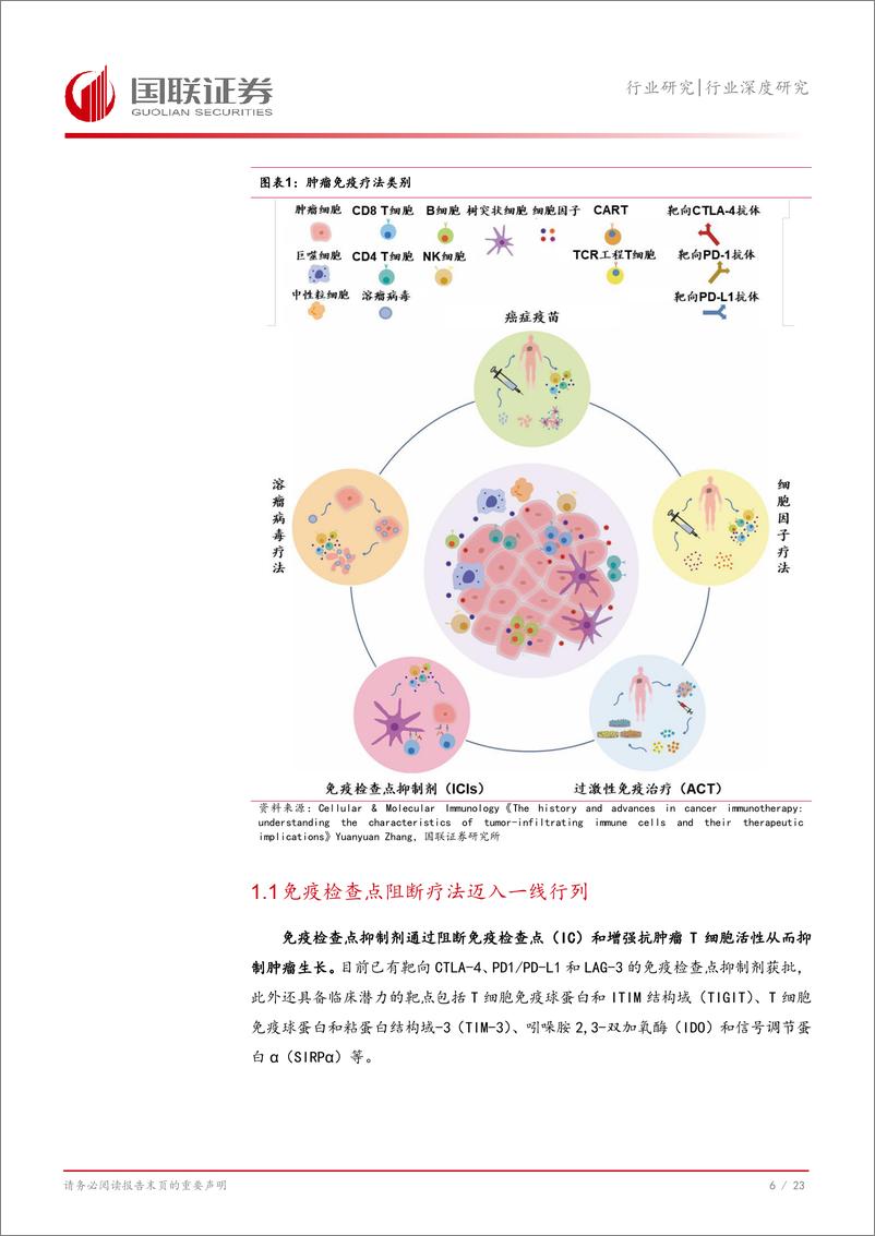 《国联证券-医药生物行业深度研究_肿瘤免疫赛道谁能延续大单品传奇_》 - 第7页预览图