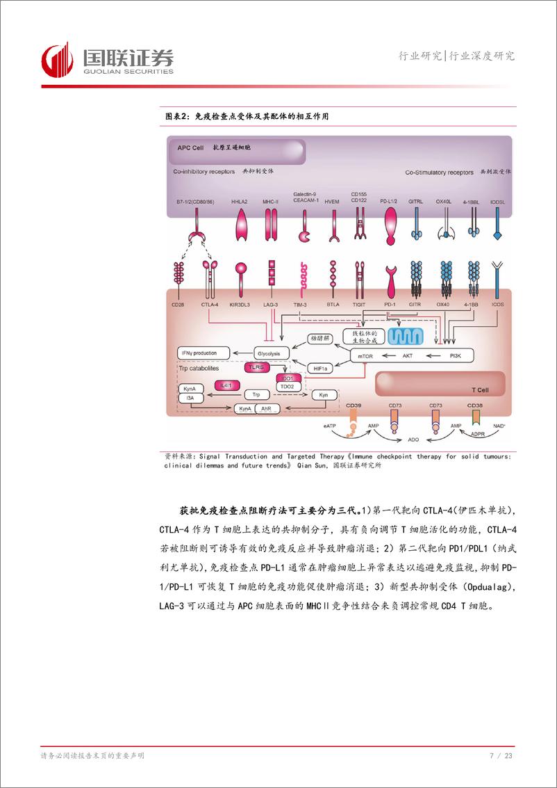 《国联证券-医药生物行业深度研究_肿瘤免疫赛道谁能延续大单品传奇_》 - 第8页预览图