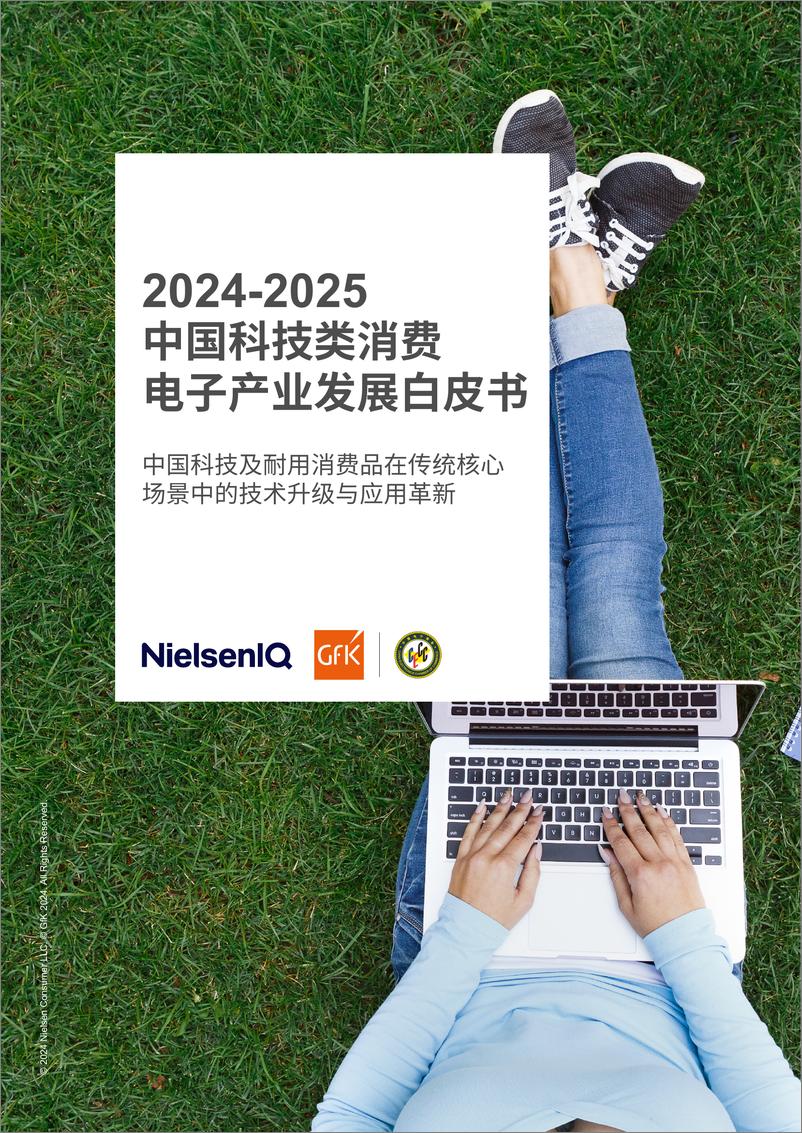 《GfK_2024-2025中国科技类消费电子产业发展白皮书》 - 第1页预览图