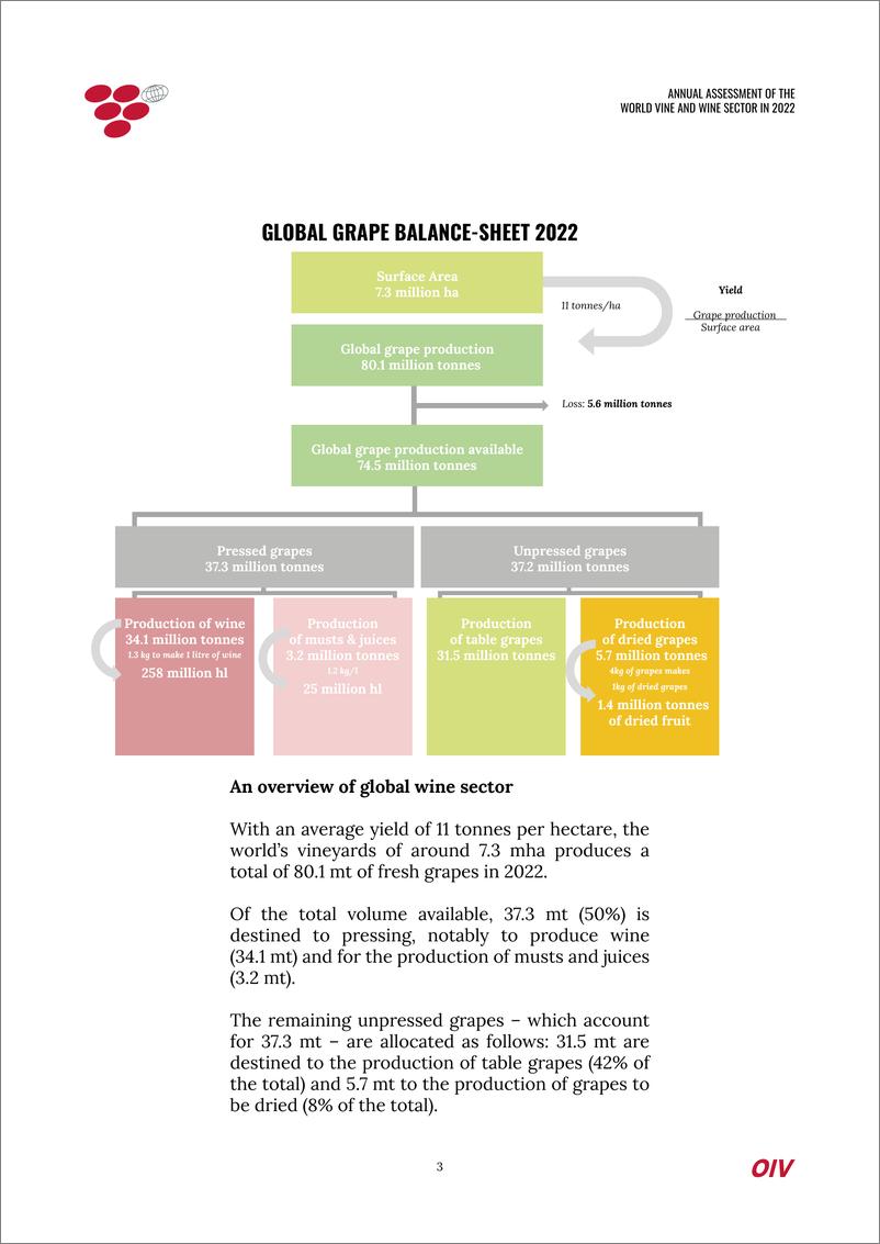 《2022年世界葡萄与葡萄酒行业年度评估（英）-30页》 - 第4页预览图