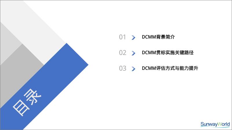 《齐稚_DCMM与数据治理关键路径探讨》 - 第2页预览图