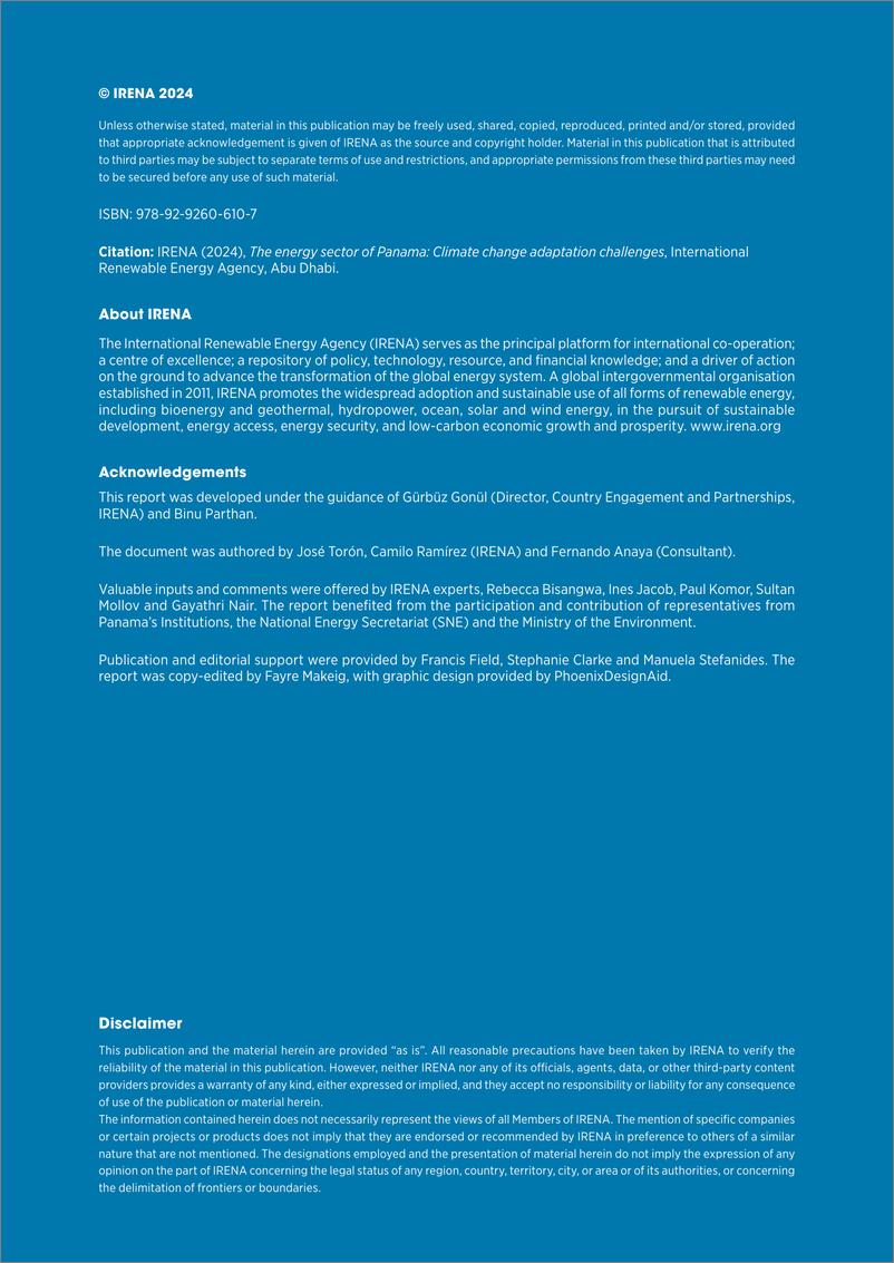 《巴拿马能源部门_2024适应气候变化的挑战_英_-IRENA》 - 第2页预览图
