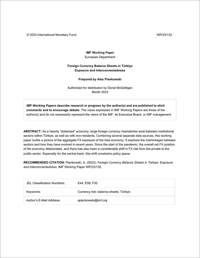 《IMF-土耳其的外汇资产负债表：风险敞口与相互关联（英）-2023.6-15页》 - 第3页预览图