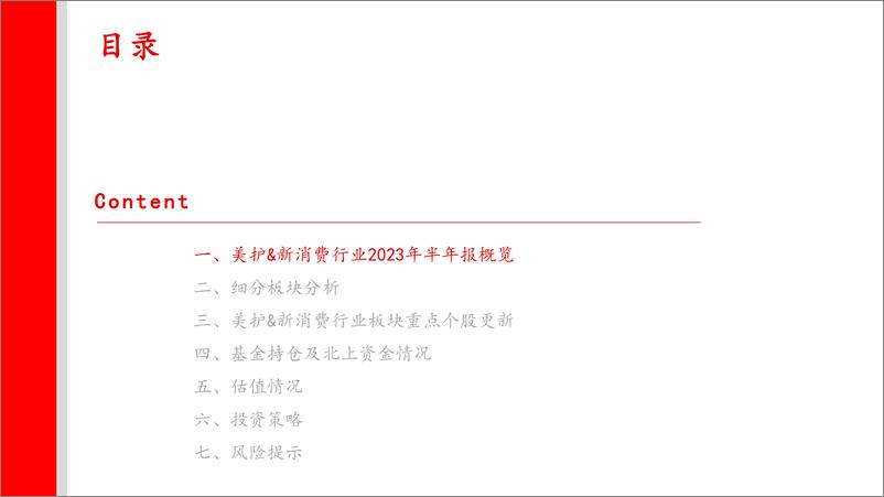 《美妆&新消费行业2023年半年报总结：环比提速，持续乐观-20230915-上海证券-39页》 - 第4页预览图