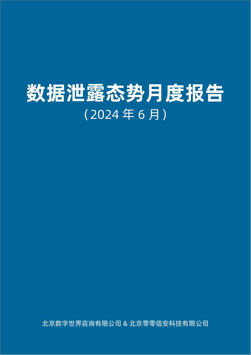 《全球数据泄露态势（2024.6）-31页》 - 第3页预览图