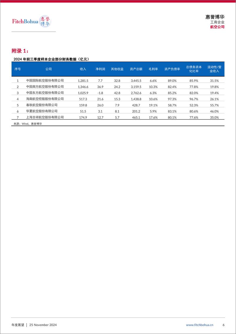 《惠誉博华2025年信用展望：航空公司-7页》 - 第6页预览图