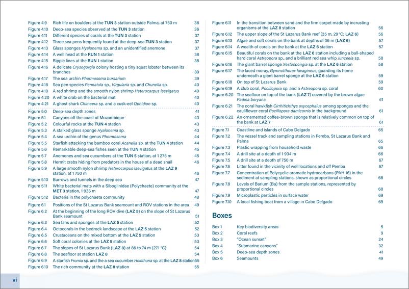 《联合国粮农组织：2024莫桑比克北部海底的隐秘之美报告（英文版）》 - 第8页预览图