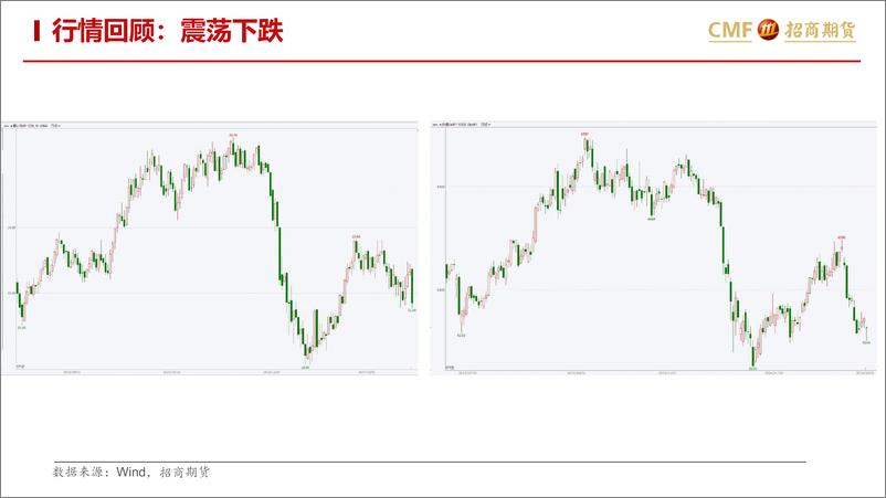 《白糖及苹果月报：白糖下跌进行时-20240303-招商期货-24页》 - 第5页预览图