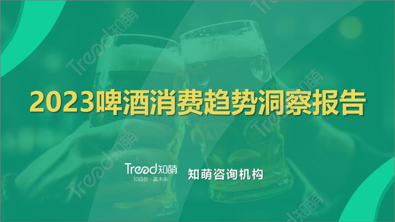 报告《2023啤酒消费趋势洞察报告-41页》的封面图片