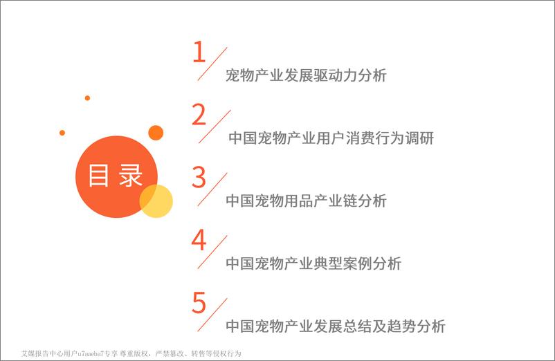 《2021-2021年中国宠物经济产业研究报告》 - 第4页预览图