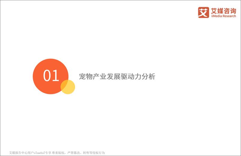 《2021-2021年中国宠物经济产业研究报告》 - 第6页预览图