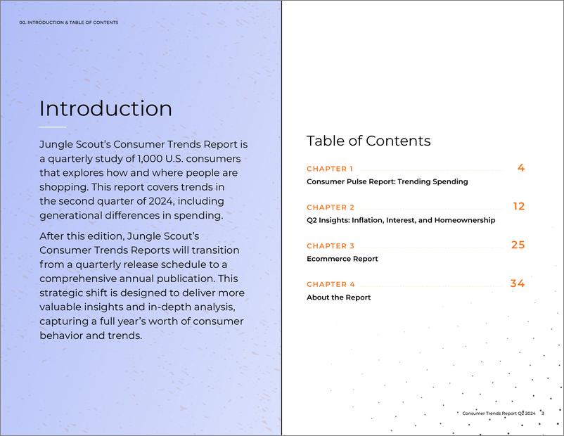 《2024年第二季消费者趋势报告》 - 第3页预览图