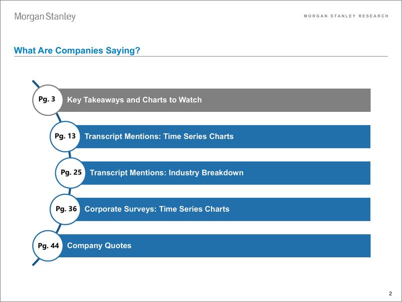 《Morgan Stanley-US Equity Strategy What Are Companies Saying-108418583》 - 第2页预览图