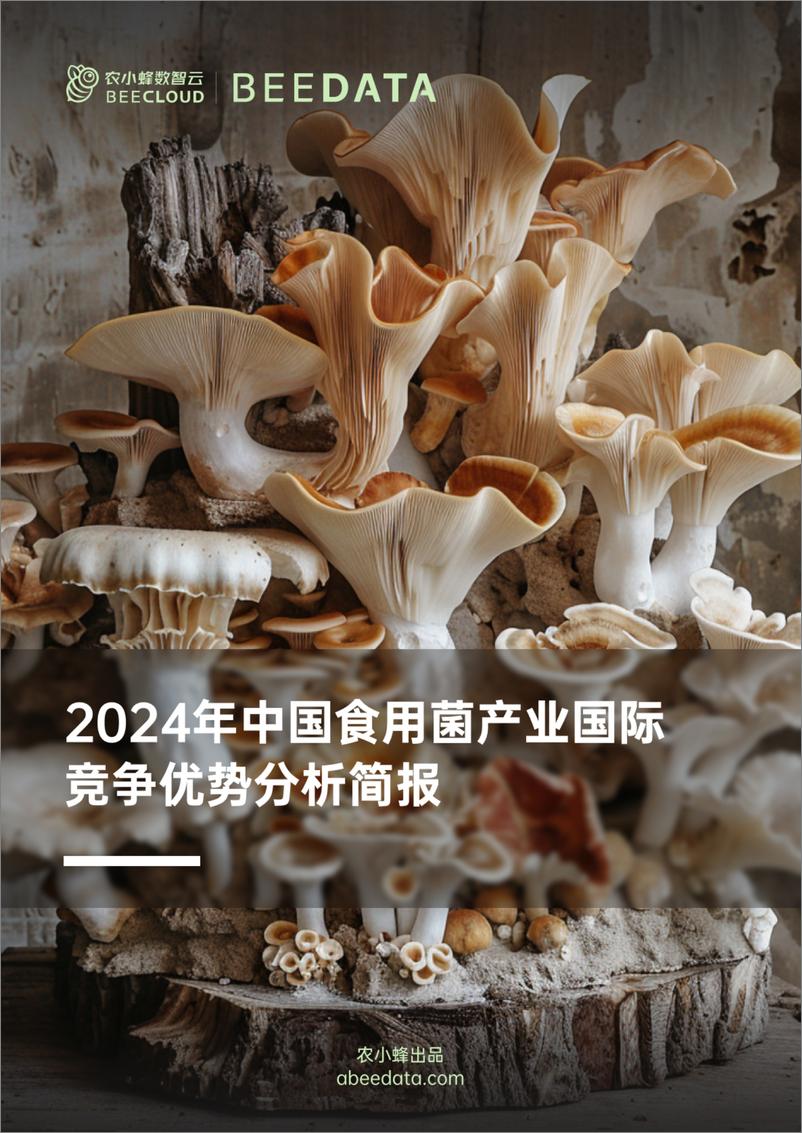 《2024年中国食用菌产业国际竞争优势分析报告-农小蜂》 - 第1页预览图