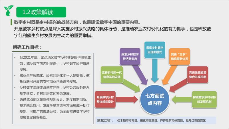 《数字乡村整体规划建设方案》 - 第4页预览图