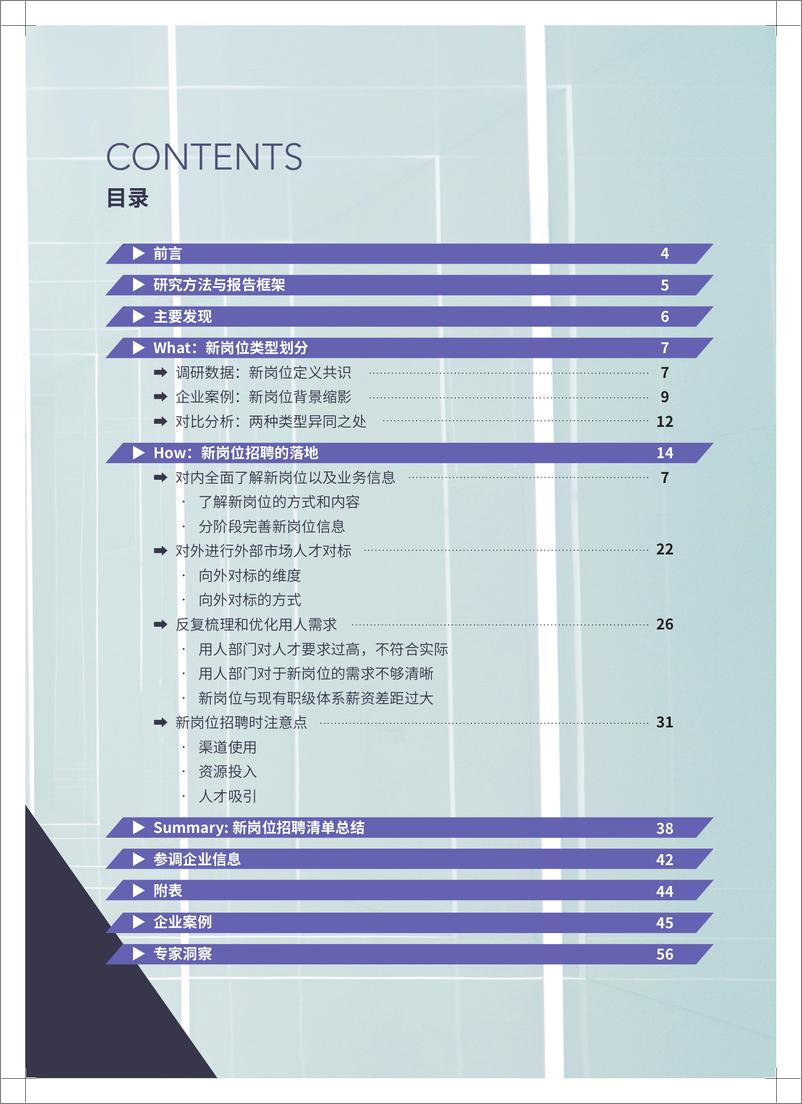 《新岗位人才招聘调研报告-64页》 - 第4页预览图