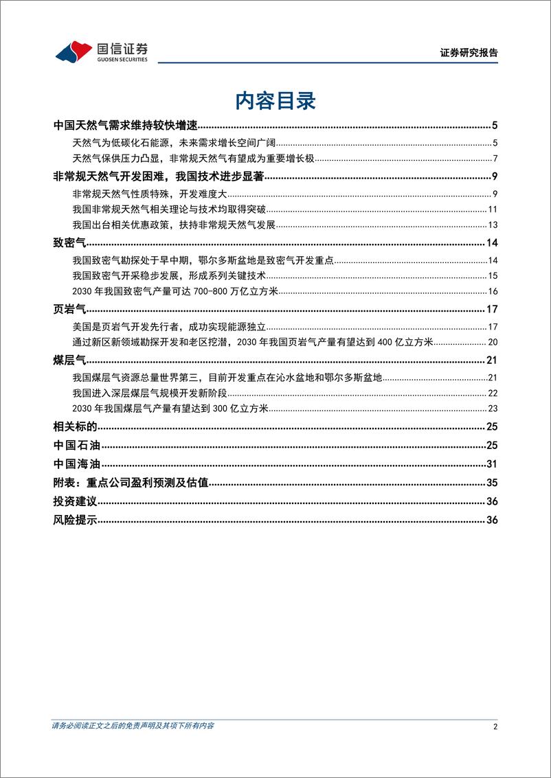 《国信证券-非常规天然气行业专题：非常规天然气成为重要增量，龙头企业有望充分受益》 - 第2页预览图