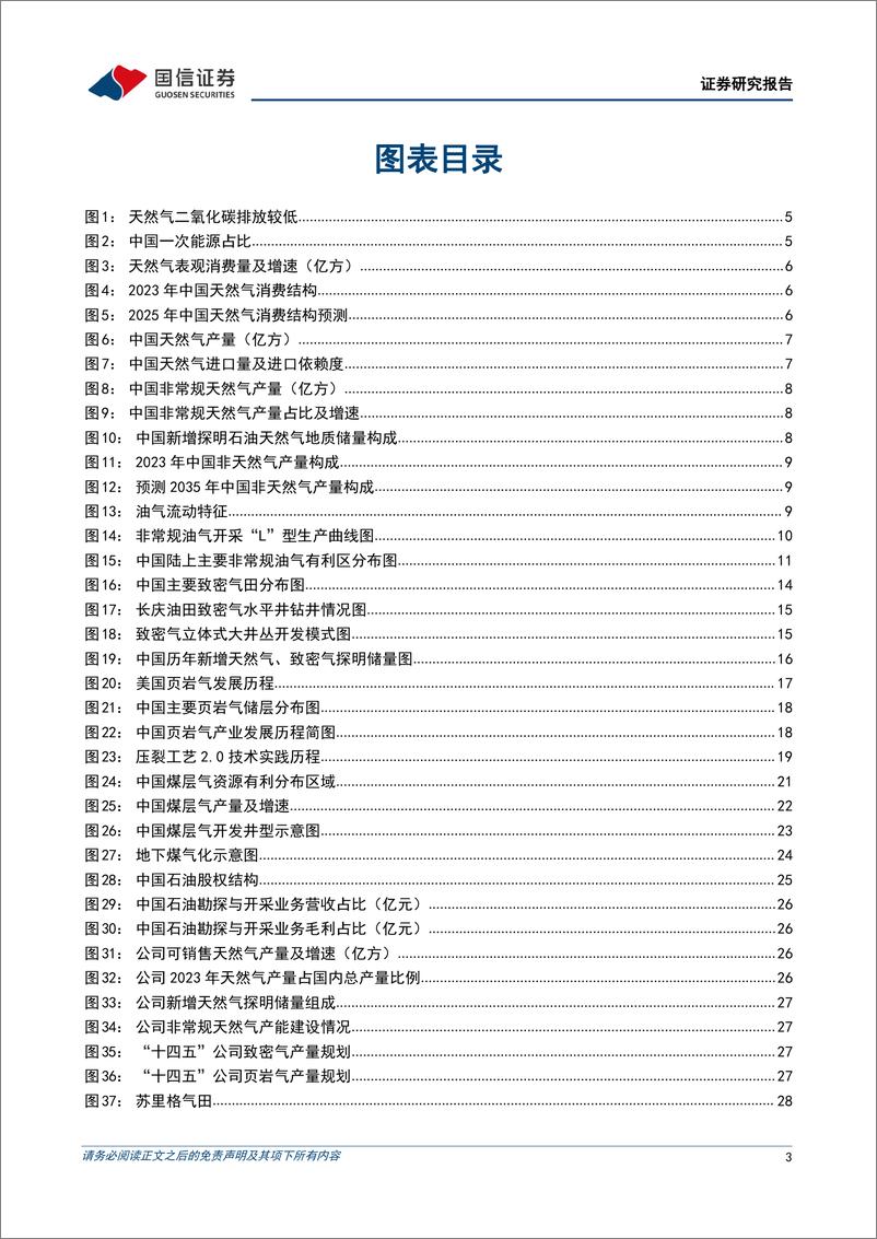 《国信证券-非常规天然气行业专题：非常规天然气成为重要增量，龙头企业有望充分受益》 - 第3页预览图