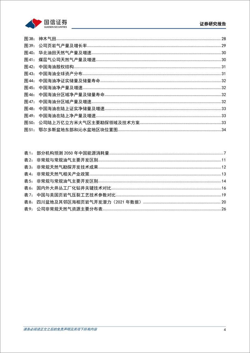 《国信证券-非常规天然气行业专题：非常规天然气成为重要增量，龙头企业有望充分受益》 - 第4页预览图