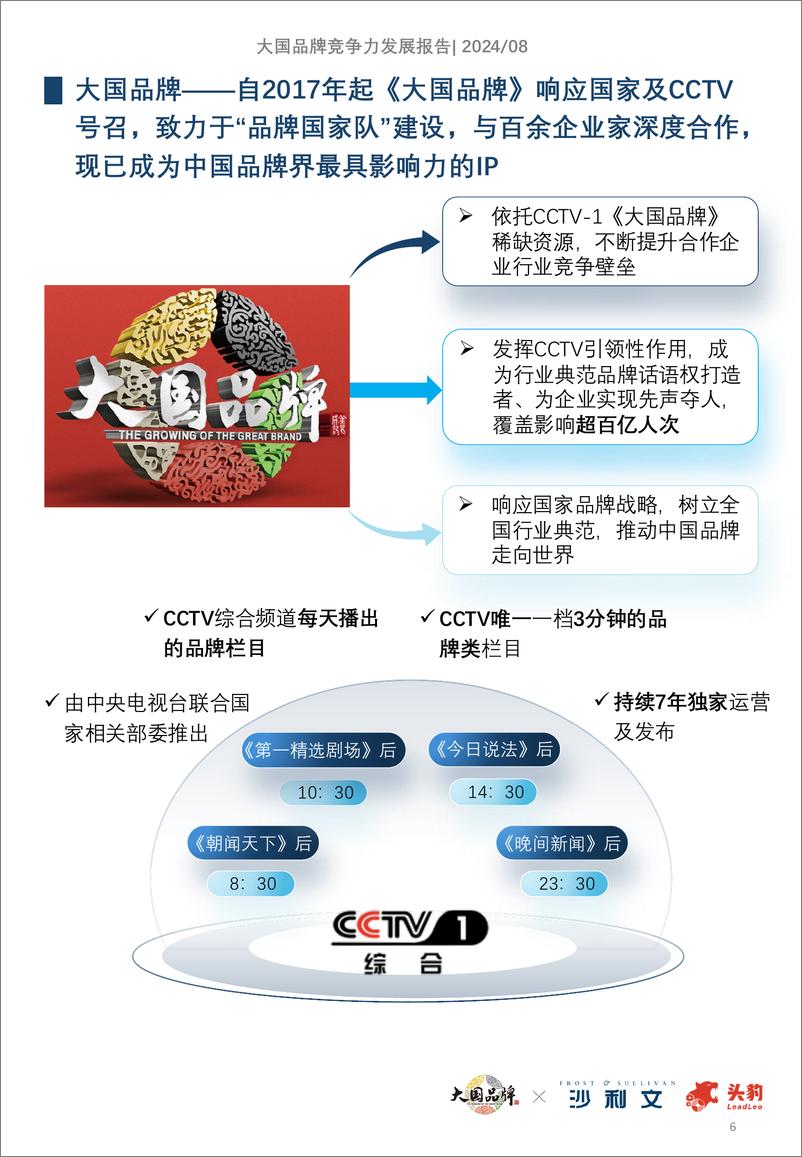 《大国品牌竞争力发展报告-35页》 - 第6页预览图