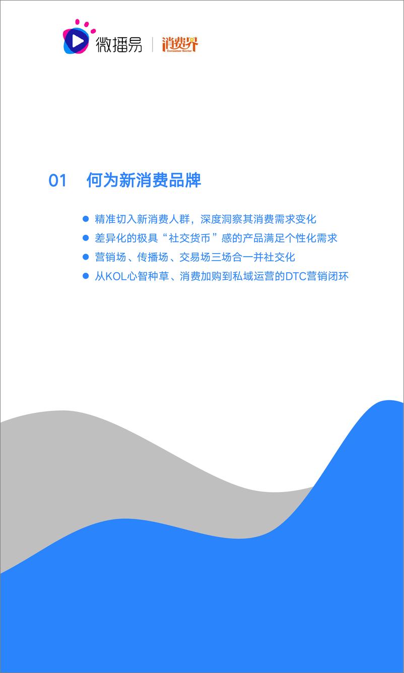 《2021中国新消费品牌社媒营销研究报告》 - 第4页预览图