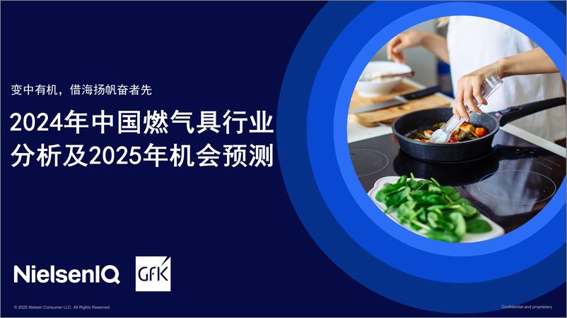 《GfK_2024年中国燃气具行业分析及2025年机会预测报告》 - 第1页预览图