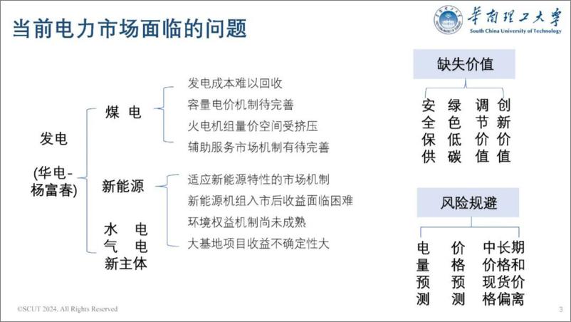 《华南理工大学（荆朝霞）：2024政府和市场如何协同发挥作用——混合电力市场的设计报告》 - 第3页预览图