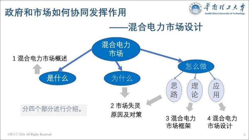 《华南理工大学（荆朝霞）：2024政府和市场如何协同发挥作用——混合电力市场的设计报告》 - 第5页预览图