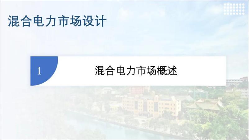 《华南理工大学（荆朝霞）：2024政府和市场如何协同发挥作用——混合电力市场的设计报告》 - 第7页预览图