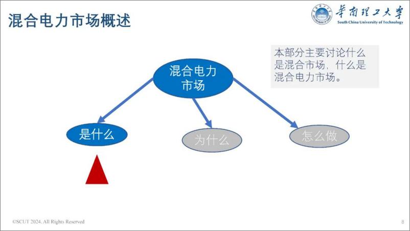 《华南理工大学（荆朝霞）：2024政府和市场如何协同发挥作用——混合电力市场的设计报告》 - 第8页预览图