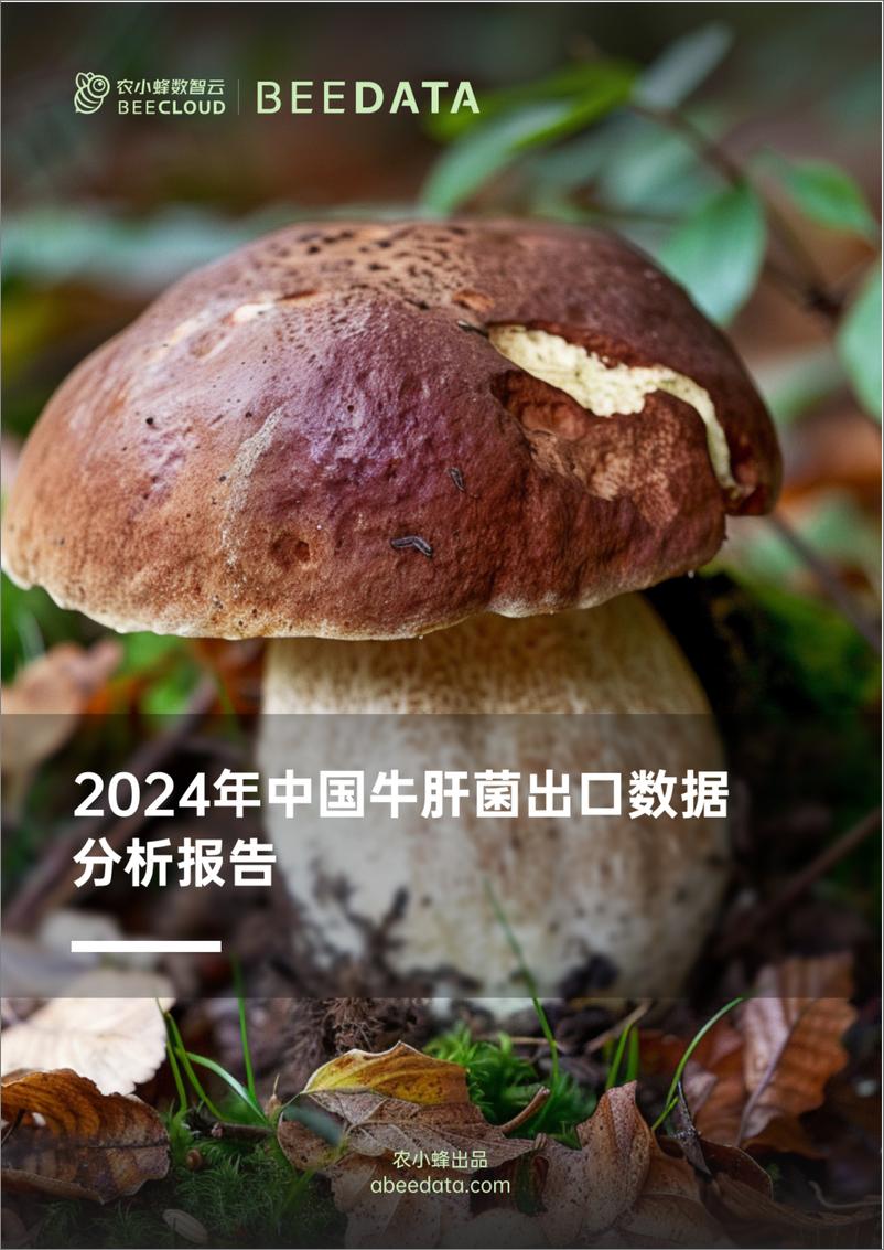 《农小蜂-2024年中国牛肝菌出口数据分析报告》 - 第1页预览图