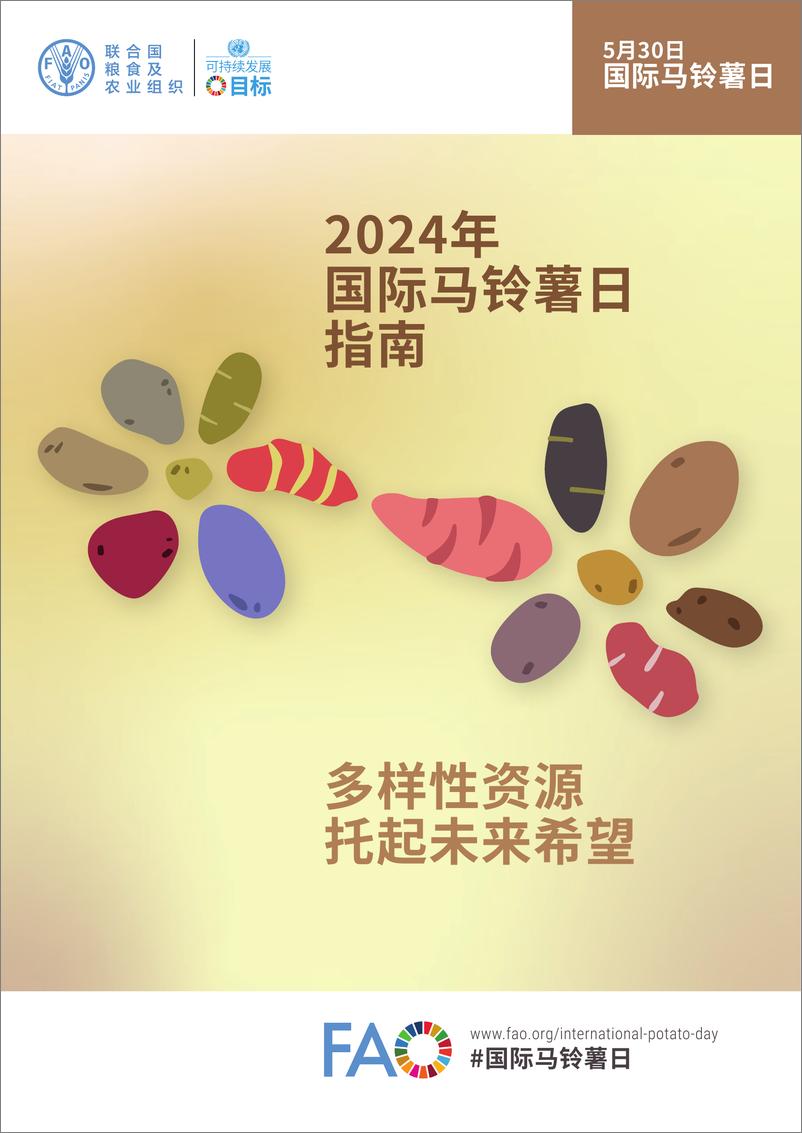 《2024年国际马铃薯日指南》 - 第1页预览图