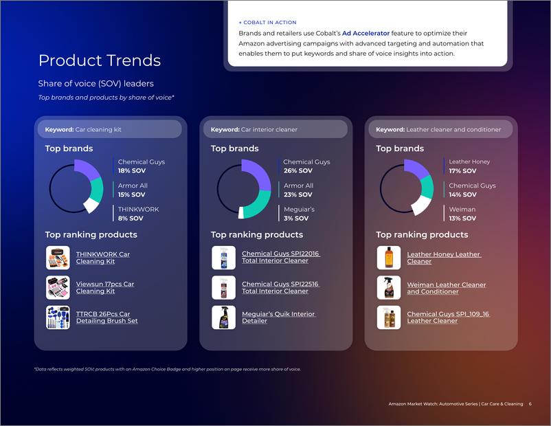 《2024年亚马逊汽车护理和清洁产品市场趋势洞察报告_英文版_》 - 第6页预览图