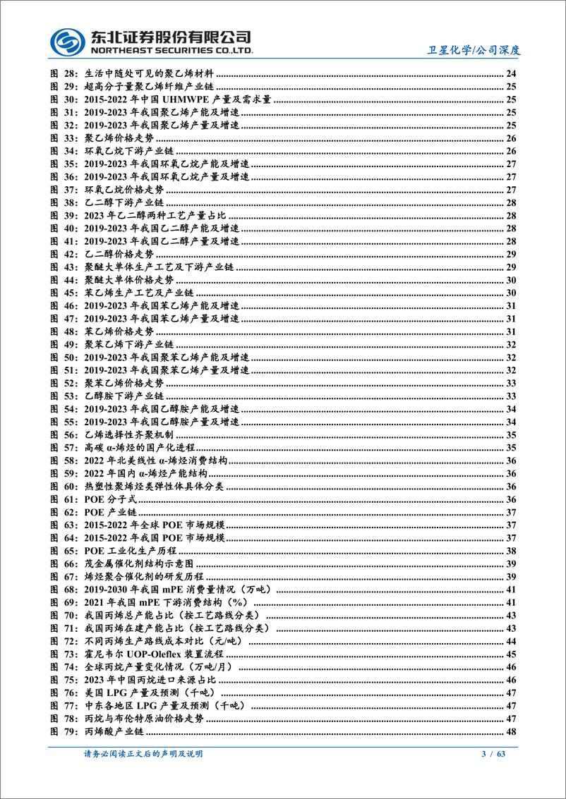 《卫星化学(002648)公司深度报告：“轻烃一体化”一马当先，“新质生产力”生面别开-240711-东北证券-63页》 - 第3页预览图