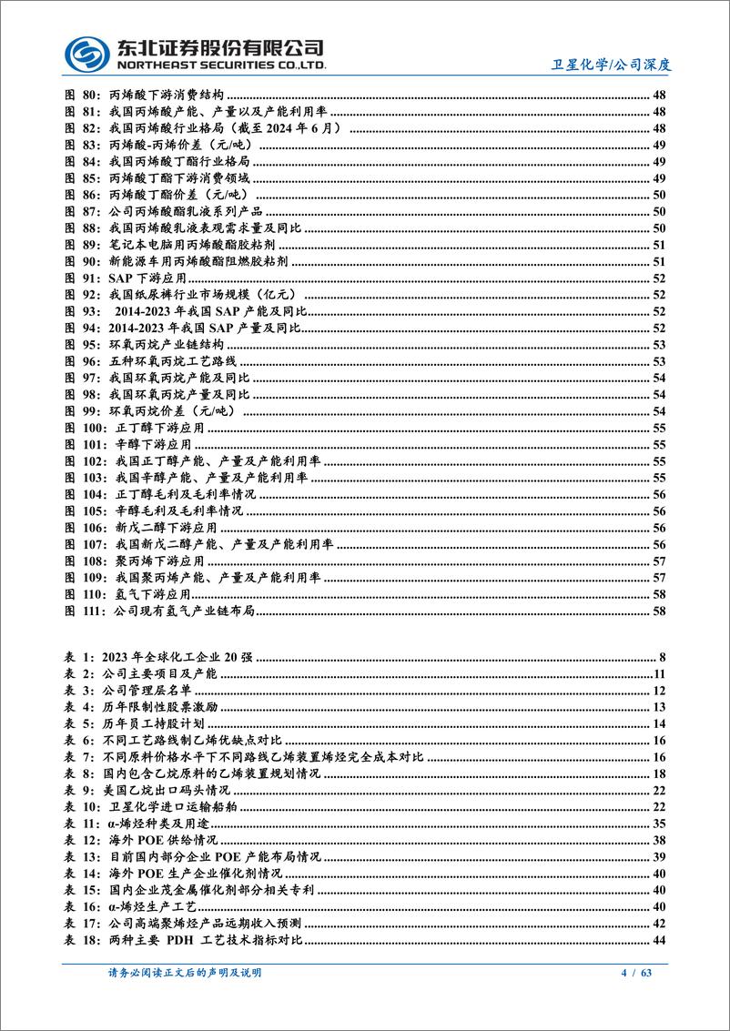 《卫星化学(002648)公司深度报告：“轻烃一体化”一马当先，“新质生产力”生面别开-240711-东北证券-63页》 - 第4页预览图