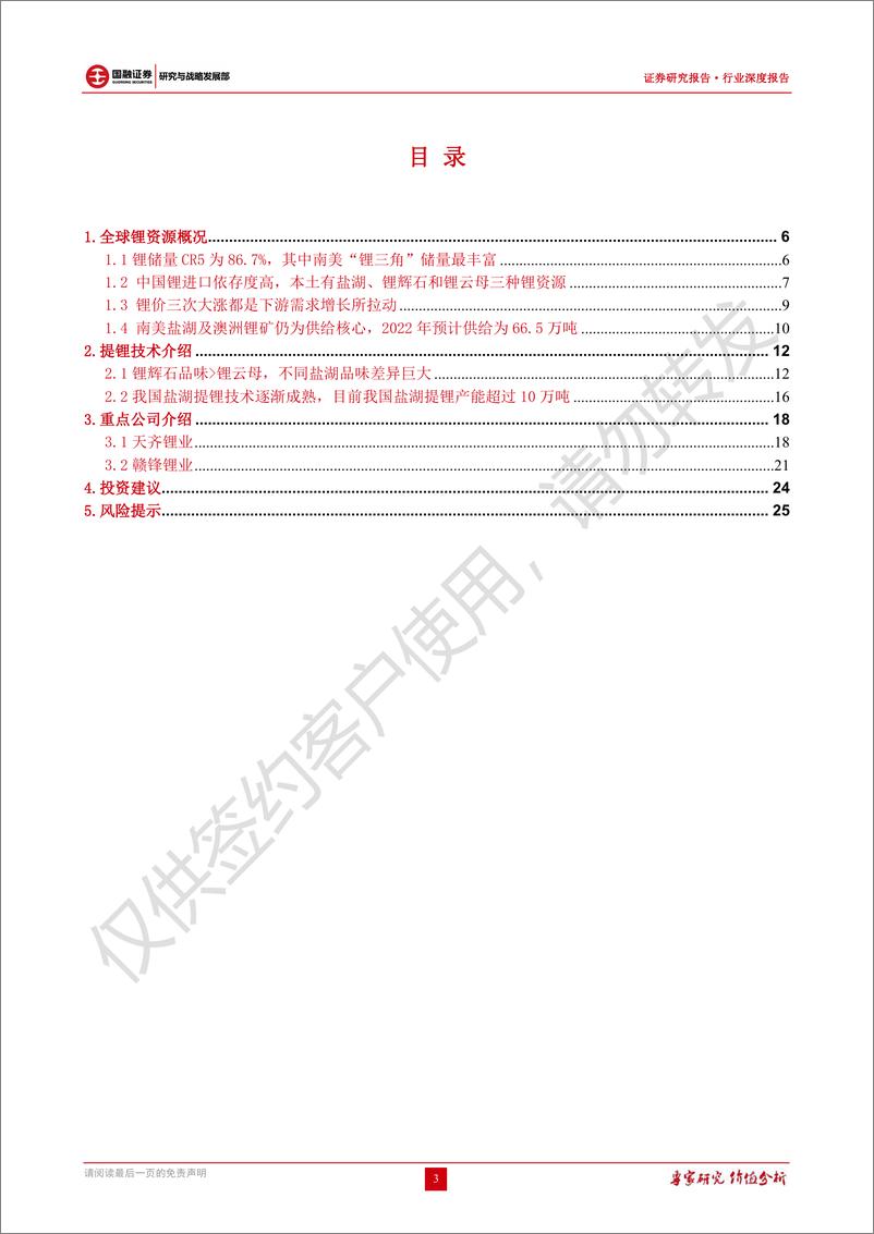 《锂行业深度报告：全球锂资源概览，锂龙头未来可期》 - 第3页预览图