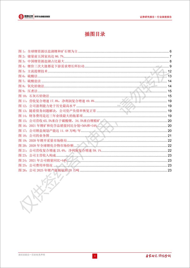 《锂行业深度报告：全球锂资源概览，锂龙头未来可期》 - 第4页预览图