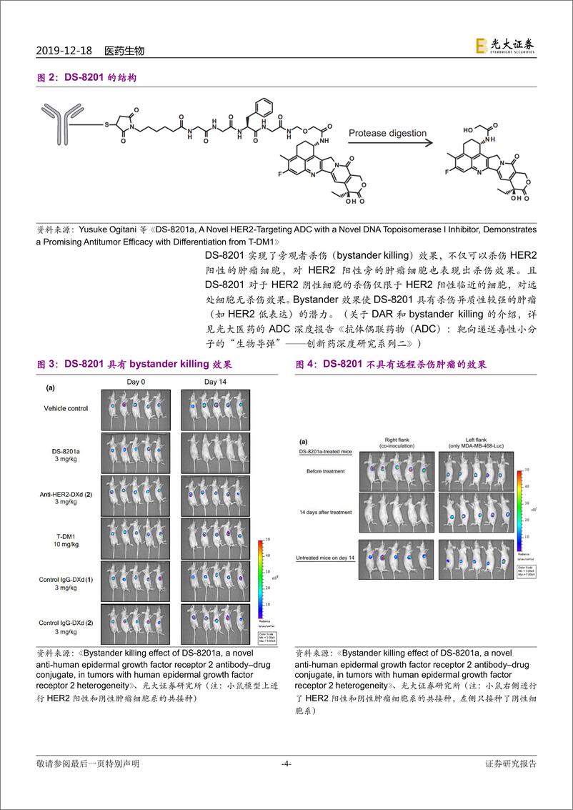 《医药生物行业动态：近期抗HER2~ADC数据点评，新一代HER2~ADC崭露头角，抗HER2治疗翻开新篇章-20191218-光大证券-14页》 - 第5页预览图