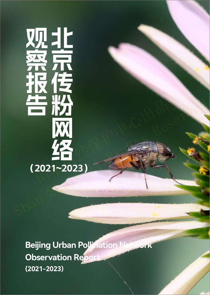 《山水自然保护中心_北京传粉网络观察报告_2021-2023_》 - 第3页预览图