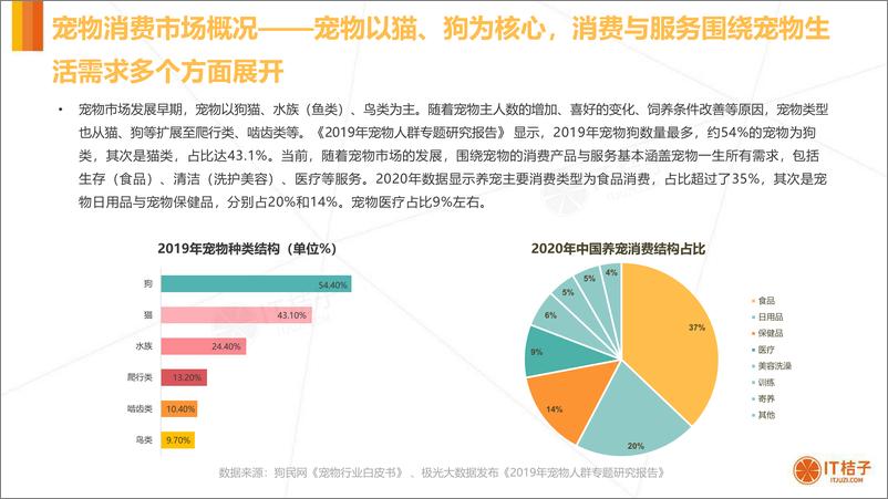 《消费：2020年中国宠物消费市场分析报告》 - 第5页预览图