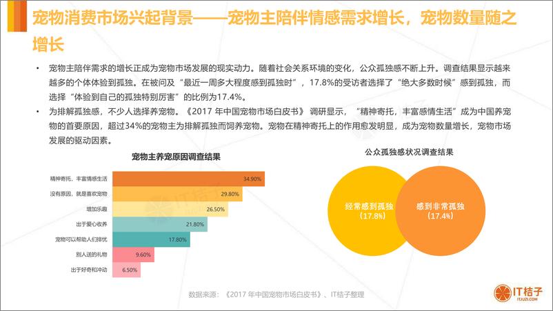 《消费：2020年中国宠物消费市场分析报告》 - 第7页预览图