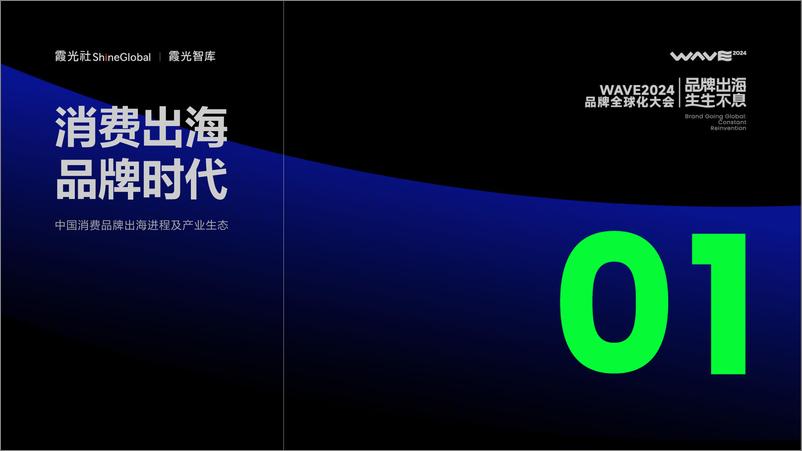 《2024中国消费品牌全球化趋势洞察》-36页 - 第4页预览图