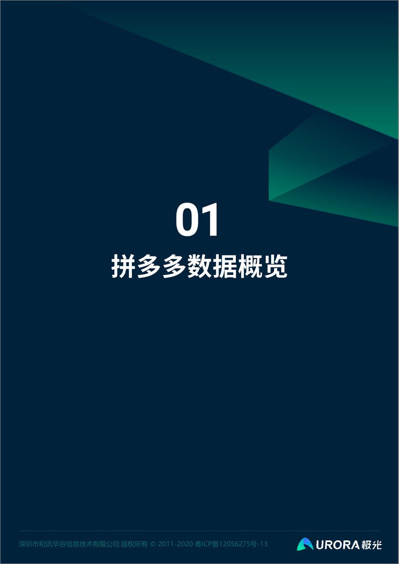 《电商新贵，裂变先锋—拼多多数据全面解析报告-极光-202007》 - 第3页预览图