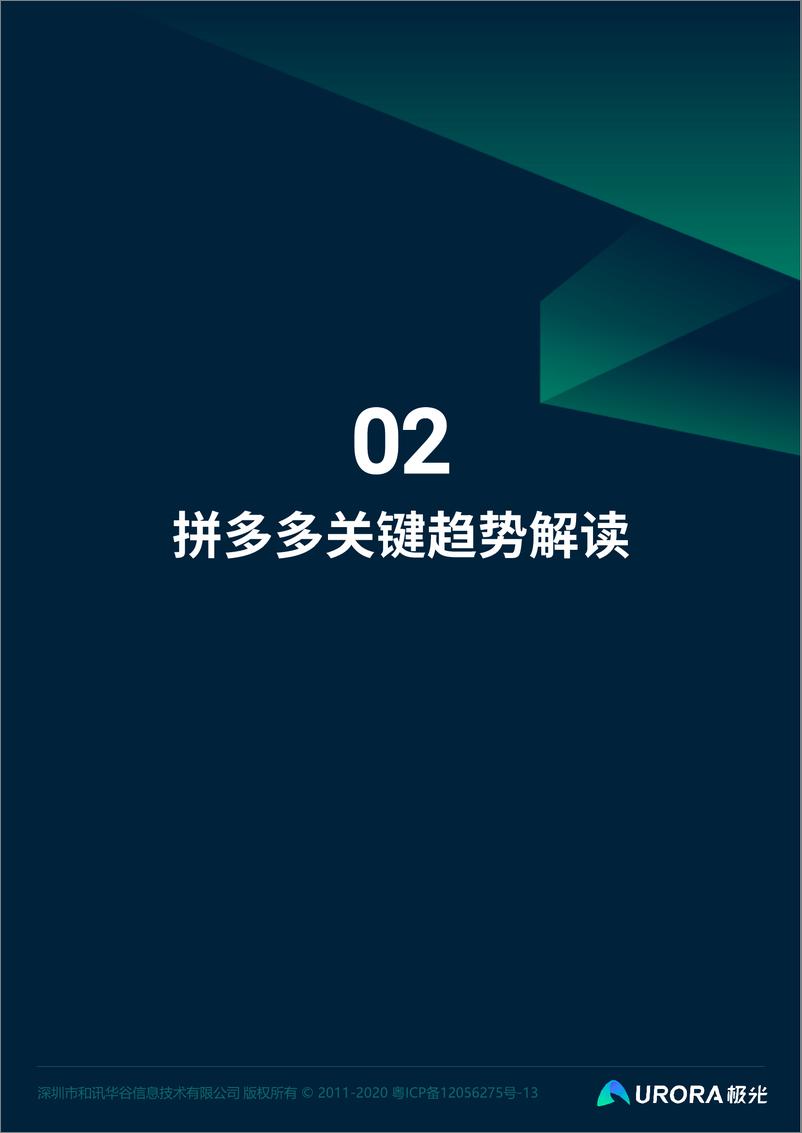 《电商新贵，裂变先锋—拼多多数据全面解析报告-极光-202007》 - 第5页预览图