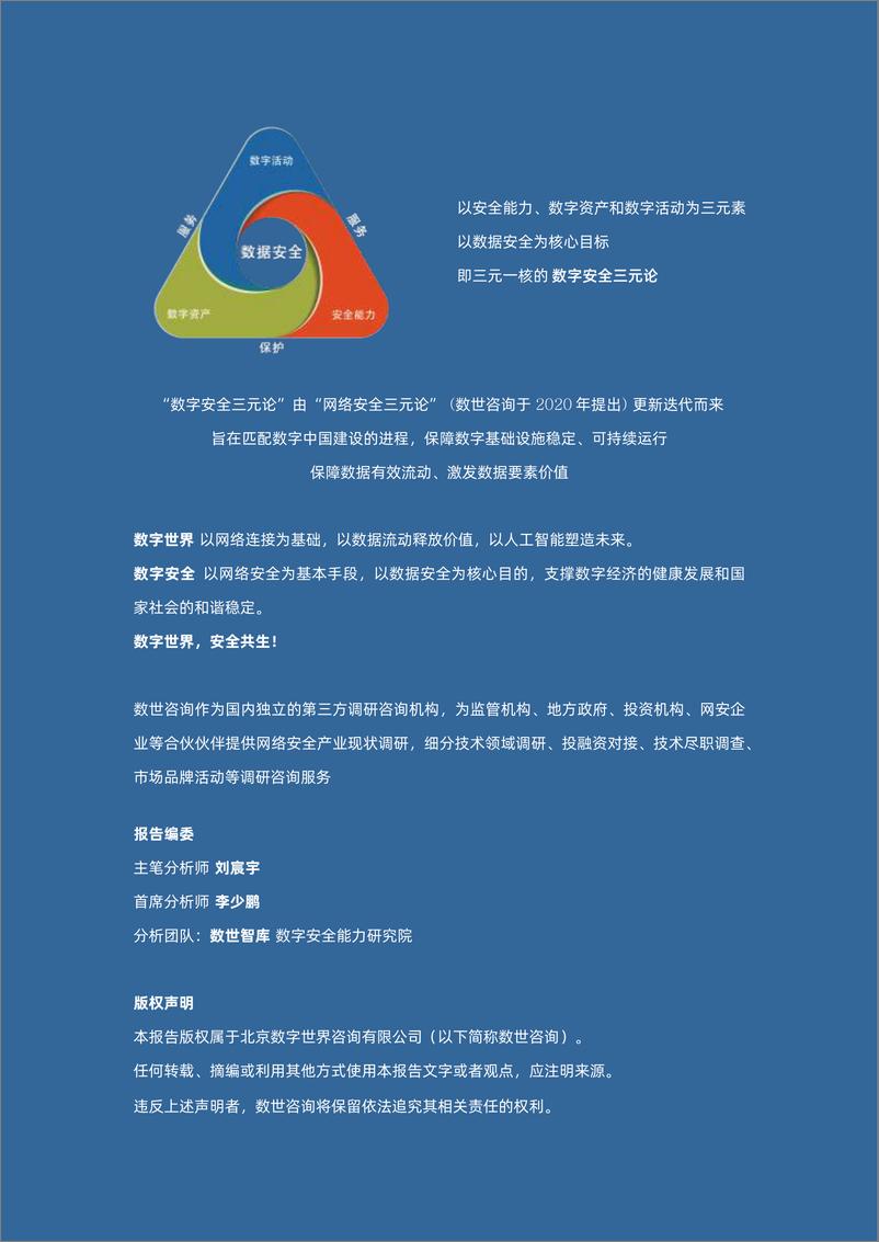 《市场洞察力报告-数据安全检查工具箱-20页》 - 第3页预览图