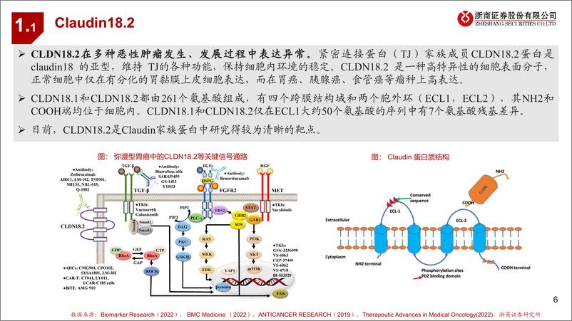 《医药行业创新药靶点系列研究之四-CLDN18.2：多技术开花，胃癌治疗潜力大-240521-浙商证券-23页》 - 第6页预览图