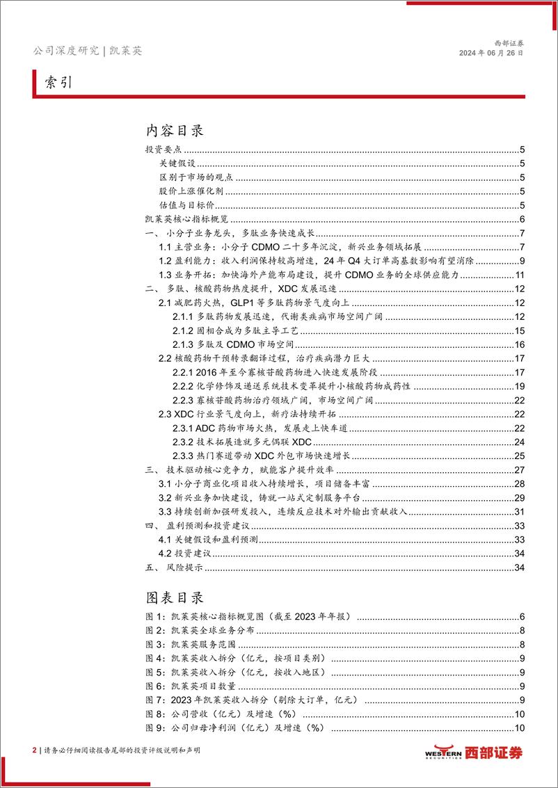 《凯莱英(002821)深度报告：小分子业务领先优势，新分子种类能力持续提升-240626-西部证券-36页》 - 第2页预览图