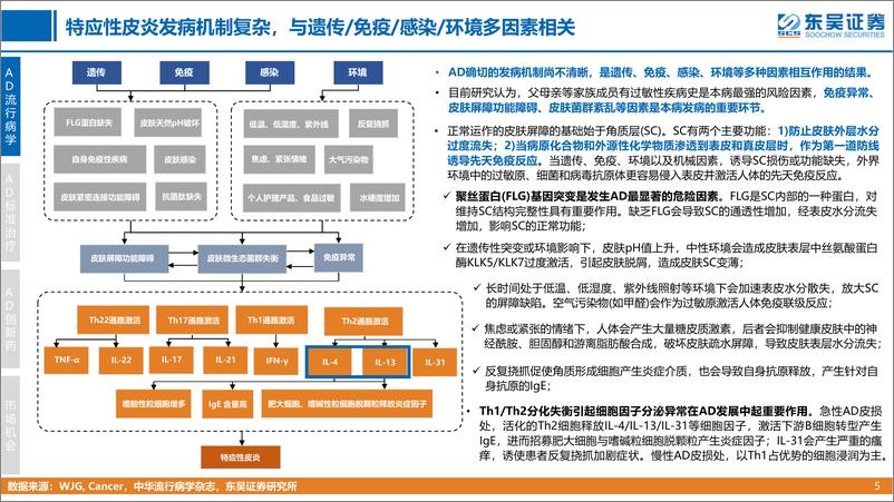 《医药行业创新药疾病透视系列行业研究第四期：特应性皮炎治疗中创新药的竞争格局分析-20220701-东吴证券-34页》 - 第6页预览图