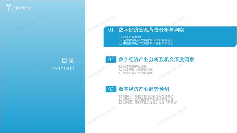 《2024中国数字经济产业机会深度洞察报告》 - 第3页预览图