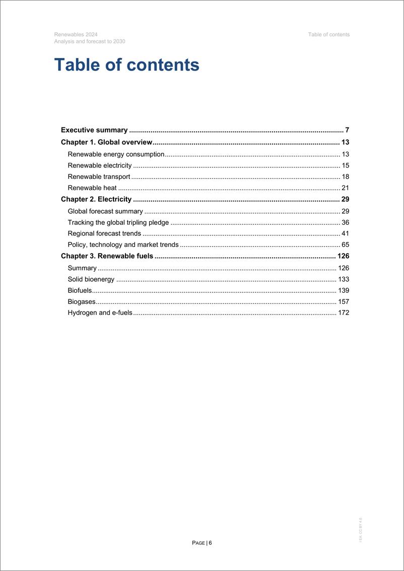 《可再生能源2024—分析和预测至2030-177页》 - 第6页预览图